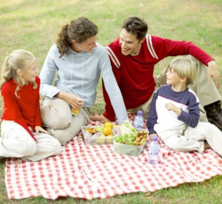 Legea picnicului a fost promulgată